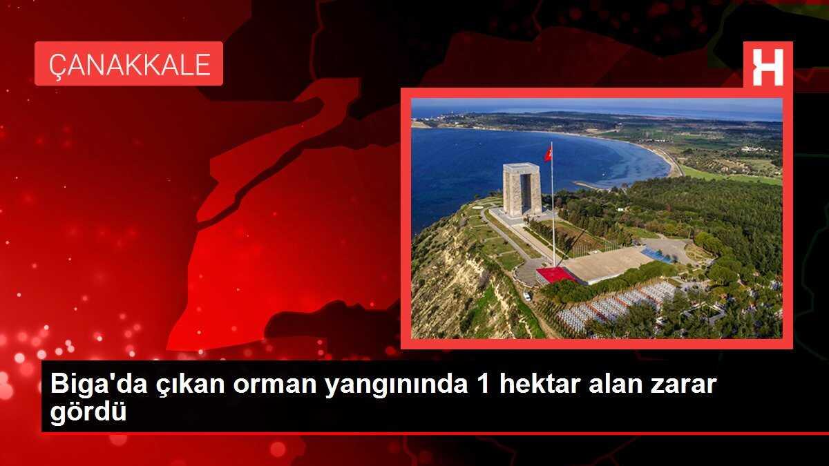 Biga'da çıkan orman yangınında 1 hektar alan zarar gördü
