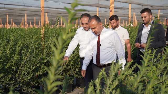 Bursa'nın Yükselen Değeri: Tarım Bursa'nın Yükselen Değeri: Tarım
