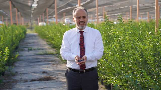 Bursa'nın Yükselen Değeri: Tarım Bursa'nın Yükselen Değeri: Tarım