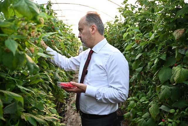 Bursa'nın Yükselen Değeri: Tarım Bursa'nın Yükselen Değeri: Tarım