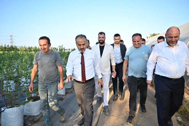 Bursa'nın Yükselen Değeri: Tarım Bursa'nın Yükselen Değeri: Tarım