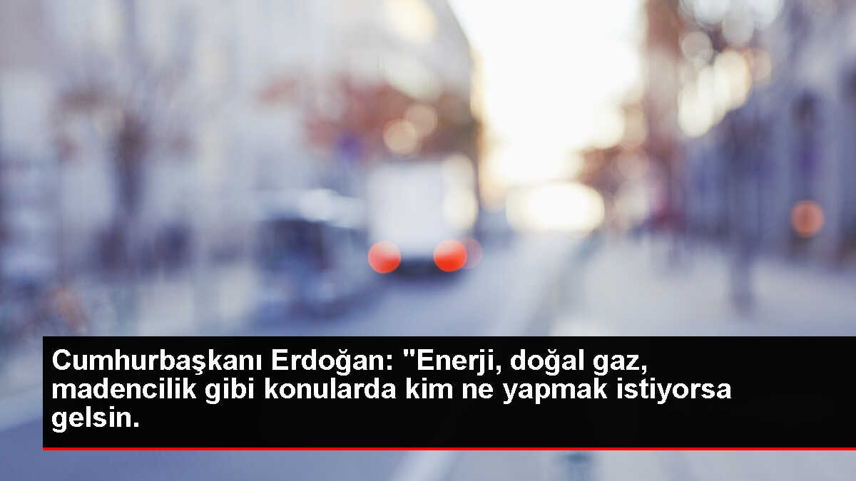 Cumhurbaşkanı Erdoğan: 'Enerji, doğal gaz, madencilik gibi konularda kim ne yapmak istiyorsa gelsin.