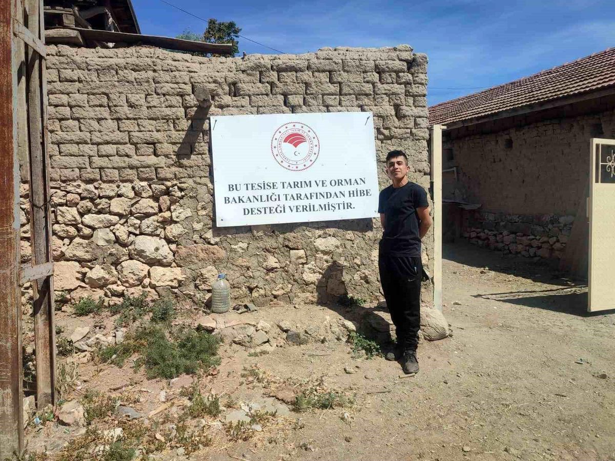 Eskişehir'de Uzman Eller Projesi kapsamında hayvanlar girişimcilere teslim edildi