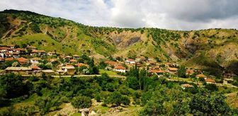 Komşu İhtilafı Kanlı Bitti: 2 Kişi Öldü