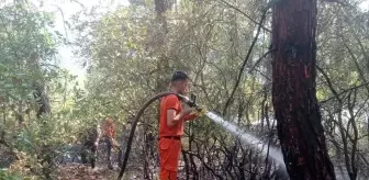 Orhaneli'de Yıldırım Düşmesiyle Başlayan Orman Yangını Söndürüldü