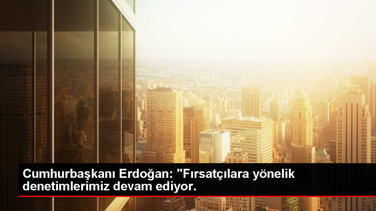 Cumhurbaşkanı Erdoğan: 'Fırsatçılara yönelik denetimlerimiz devam ediyor.