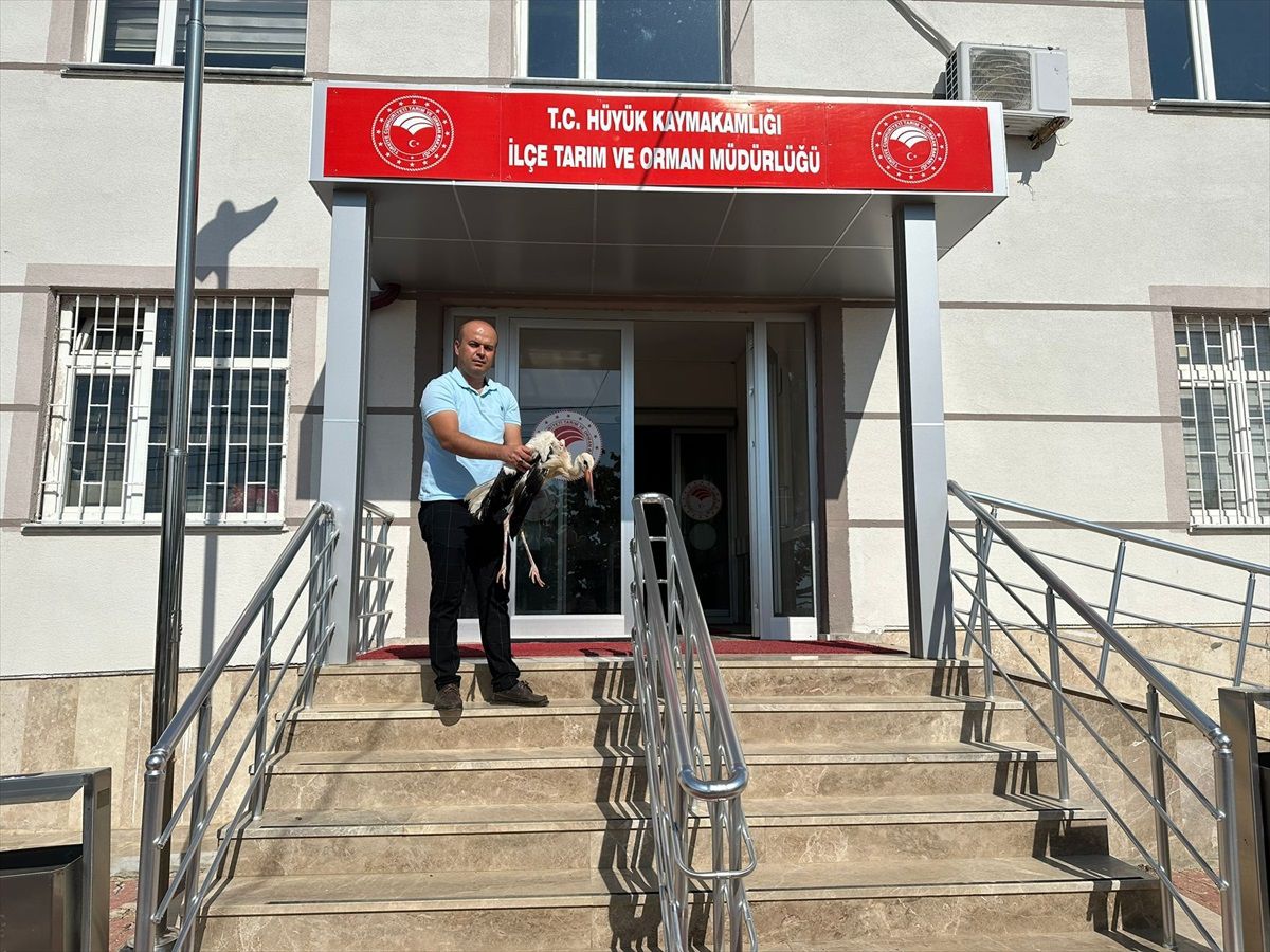 Konya'da Yaralı Leylek Tedaviye Alındı