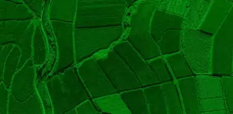 Kainat Holding Genel Koordinatörü Mehmet Asarkaya, Enerji Tarlası projesini hakkında merak edilenleri açıkladı