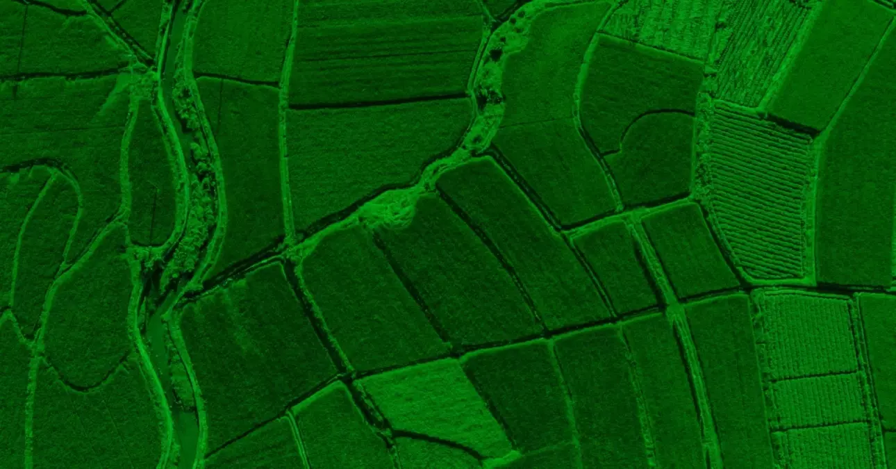 Kainat Holding Genel Koordinatörü Mehmet Asarkaya, Enerji Tarlası projesini hakkında merak edilenleri açıkladı