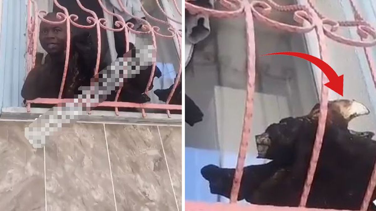 Mahalledeki kötü kokunun izini süren kadın, bu manzara ile karşılaştı: Attıracağım sizi bu evden