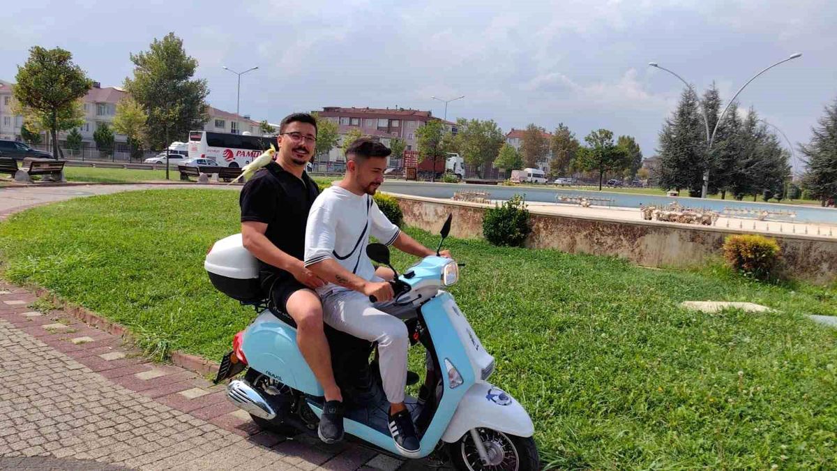 Bursa'da Sahibinden Ayrılmayan Şakir İsimli Papağan Şehir Turu Atıyor