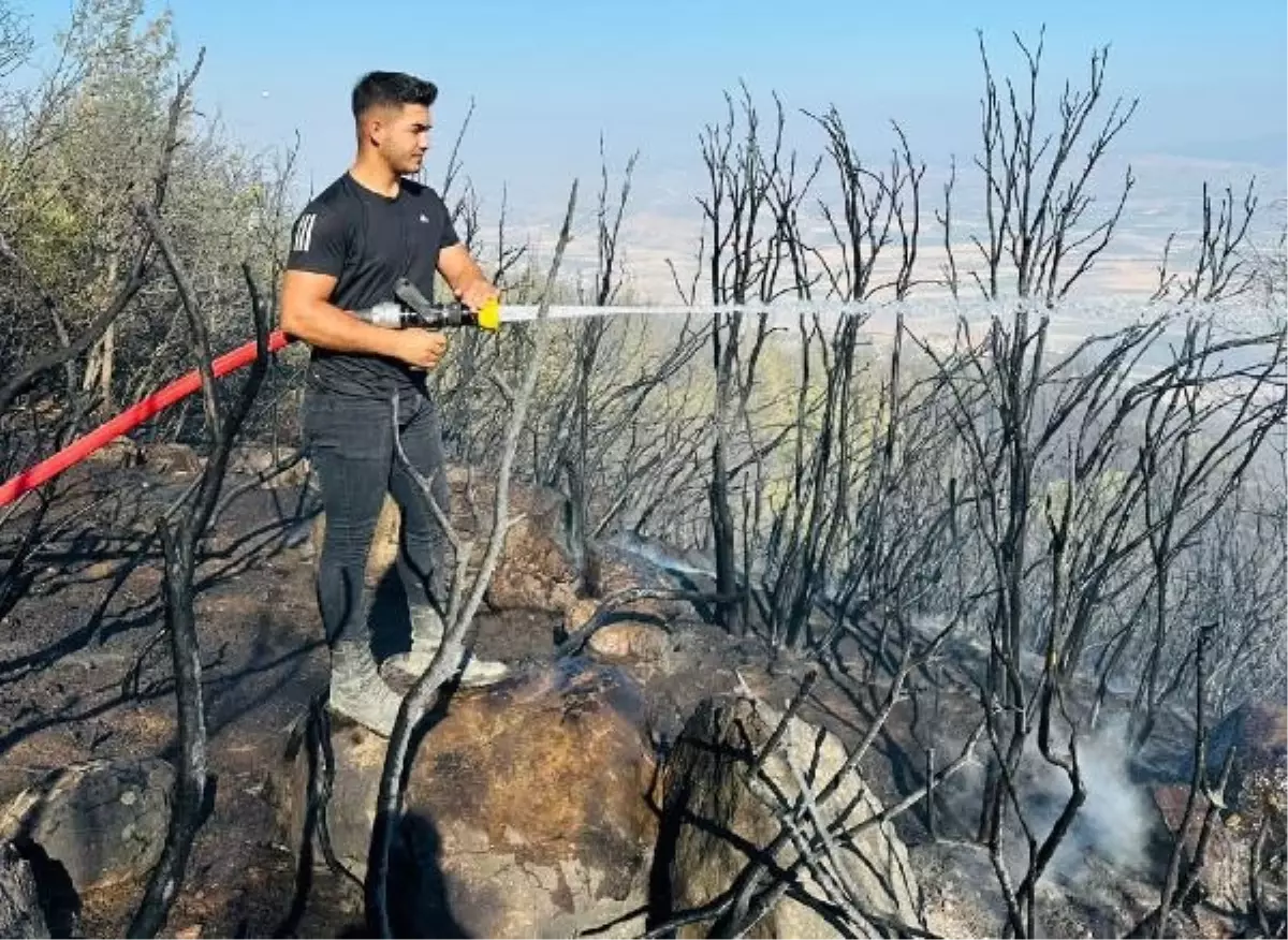 Gaziantep'te orman yangını (2)