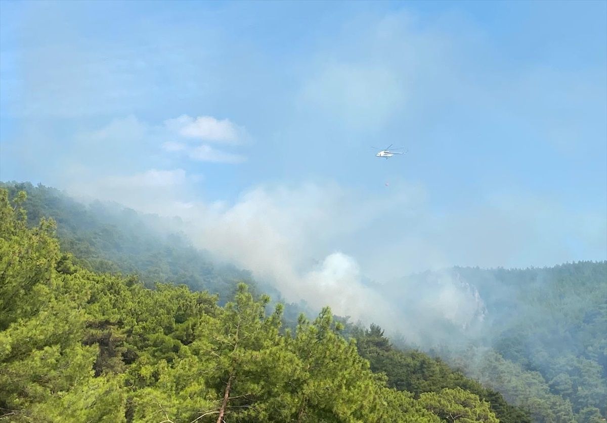 Kazdağları'nda yangın çıktı