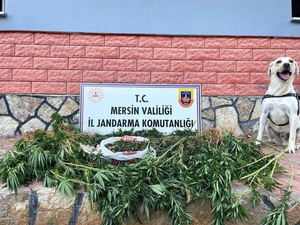 Mersin'de Uyuşturucu Operasyonu: 2 Şüpheli Gözaltına Alındı