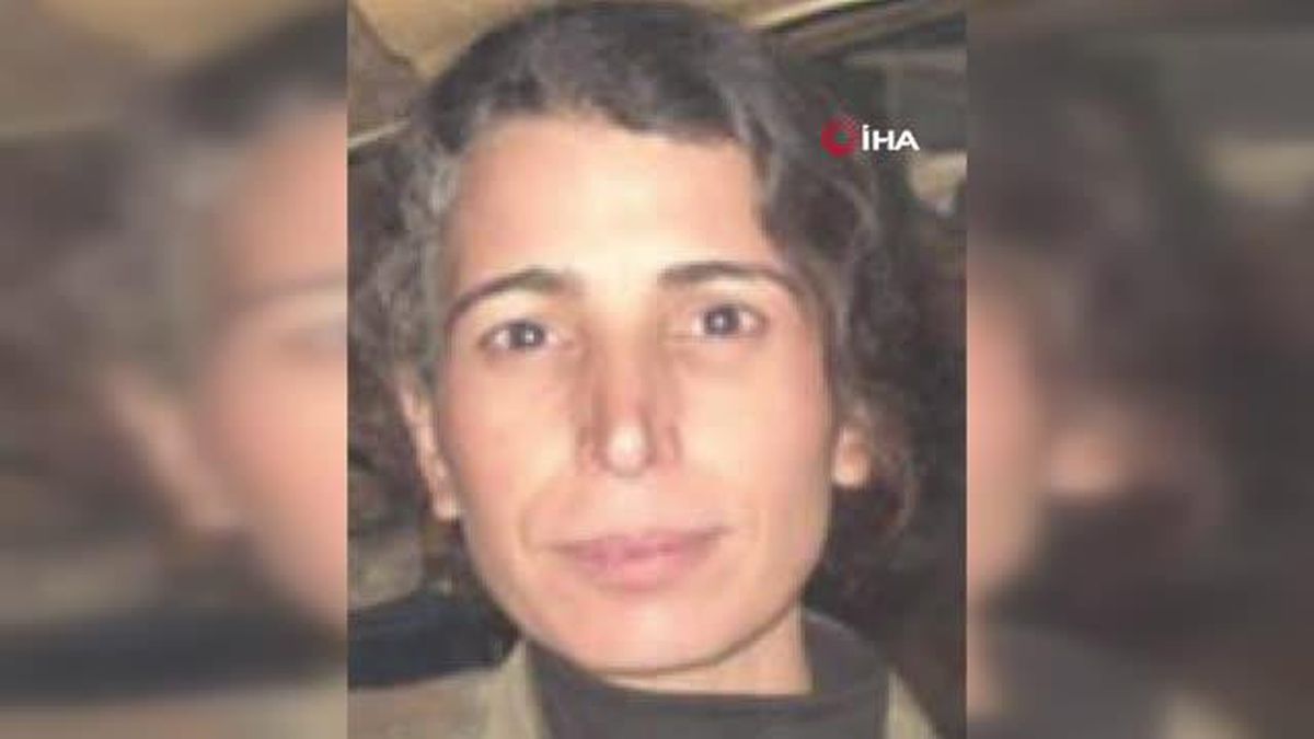 MİT, terör örgütü PKK/YPG'nin para trafiğini yöneten ve terör arananlar listesinde yeşil kategoride bulunan Zülfiye Binbir'i, Suriye'nin Rumeylan...