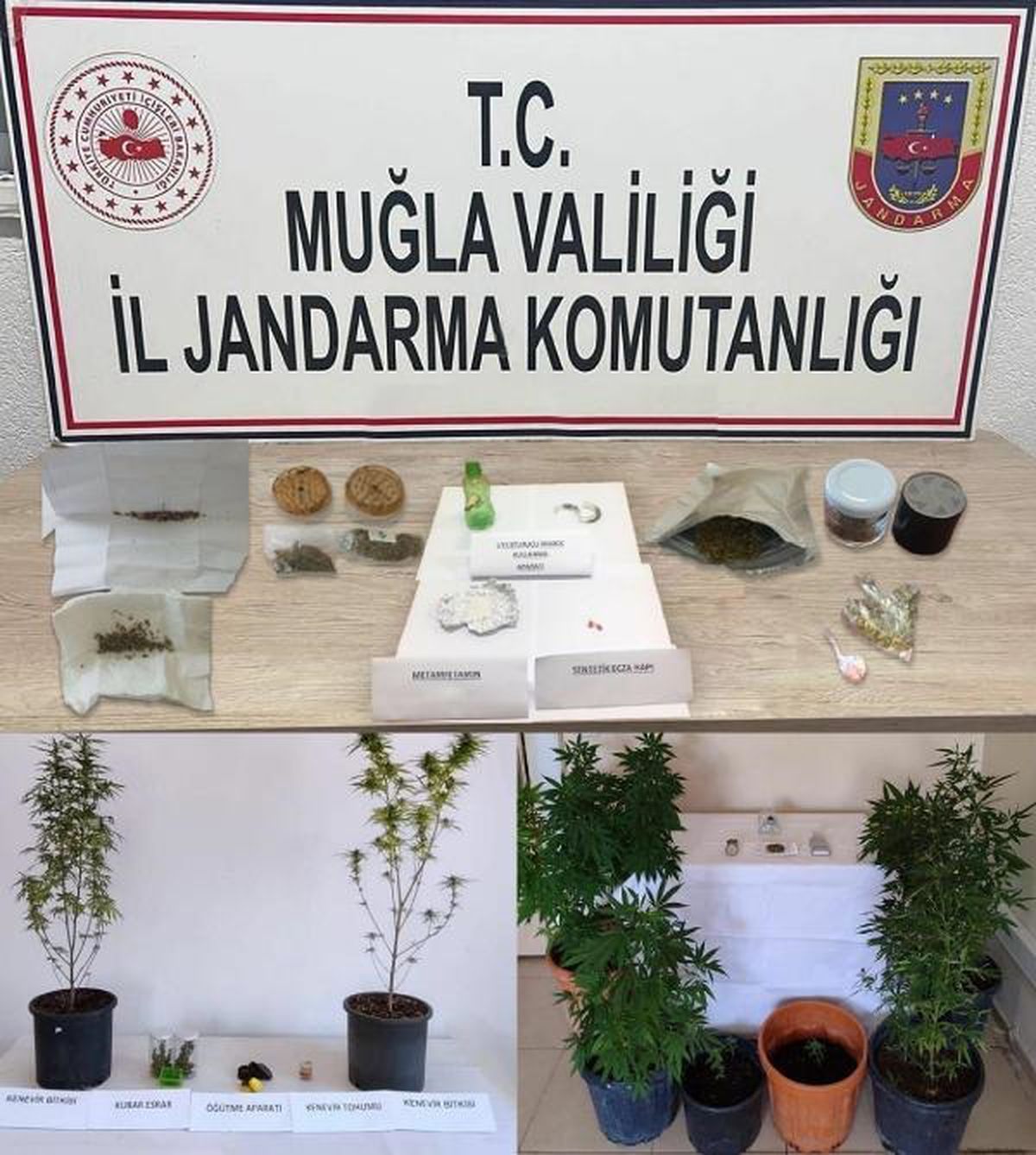 Muğla'da düzenlenen operasyonlarda 24 şüpheli gözaltına alındı