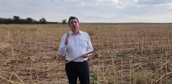 CHP'li Gaytancıoğlu: Çiftçiye kuraklık ödemesi yapılmalı