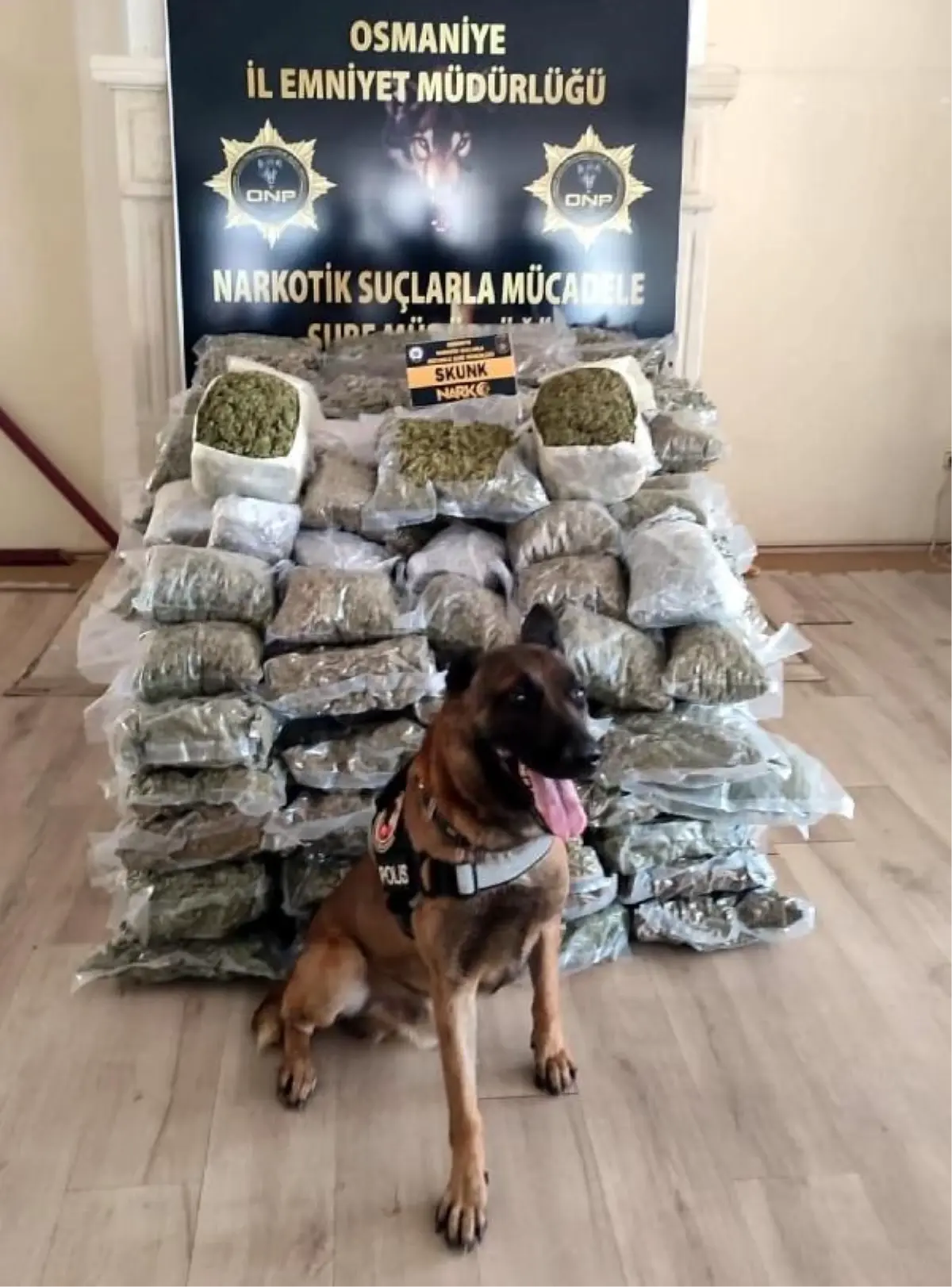 Osmaniye'de 103 Kilo Skunk Ele Geçirildi
