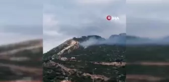 Samandağ'da çıkan orman yangını söndürüldü