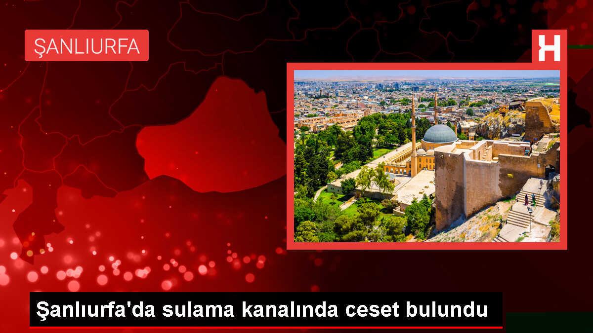 Şanlıurfa'da sulama kanalında erkek cesedi bulundu