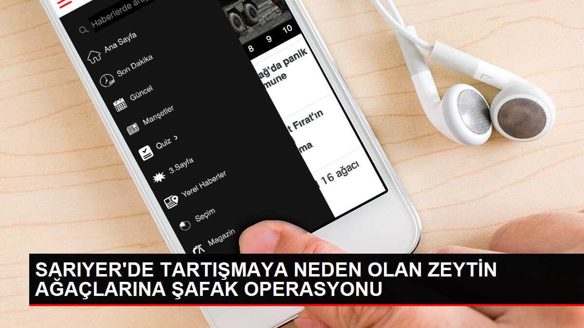 Sarıyer'de tartışmalı zeytin ağaçları iş makineleriyle alındı