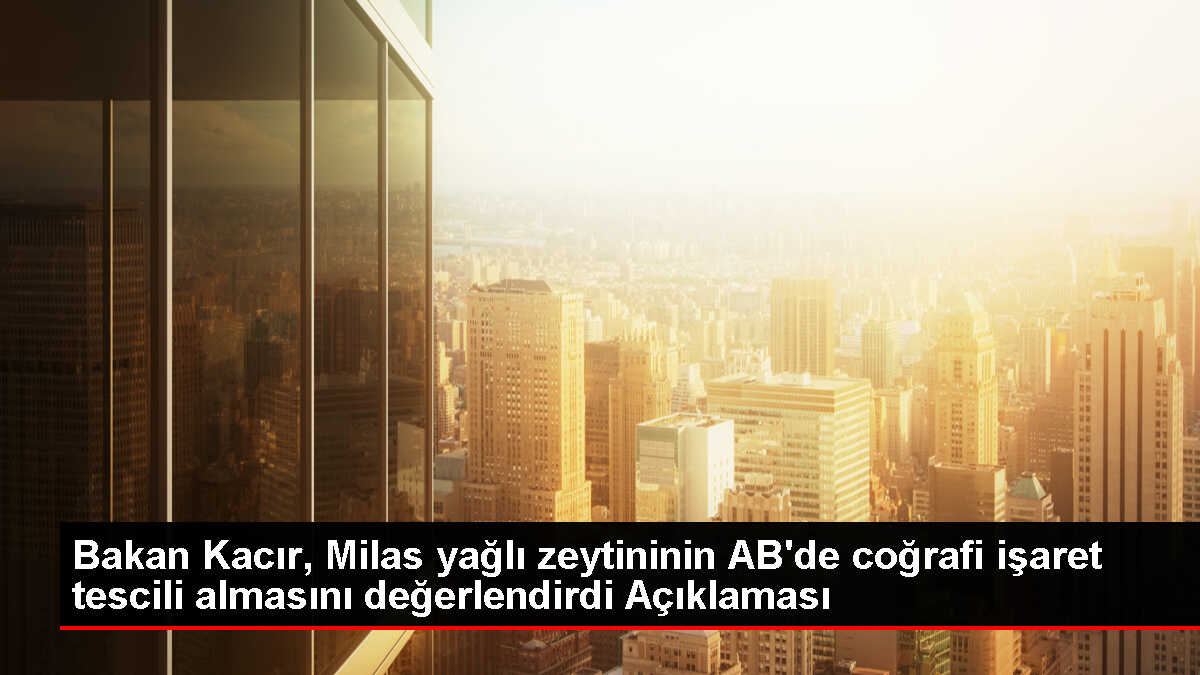 Milas Yağlı Zeytini AB'den Coğrafi İşaret Tescili Aldı