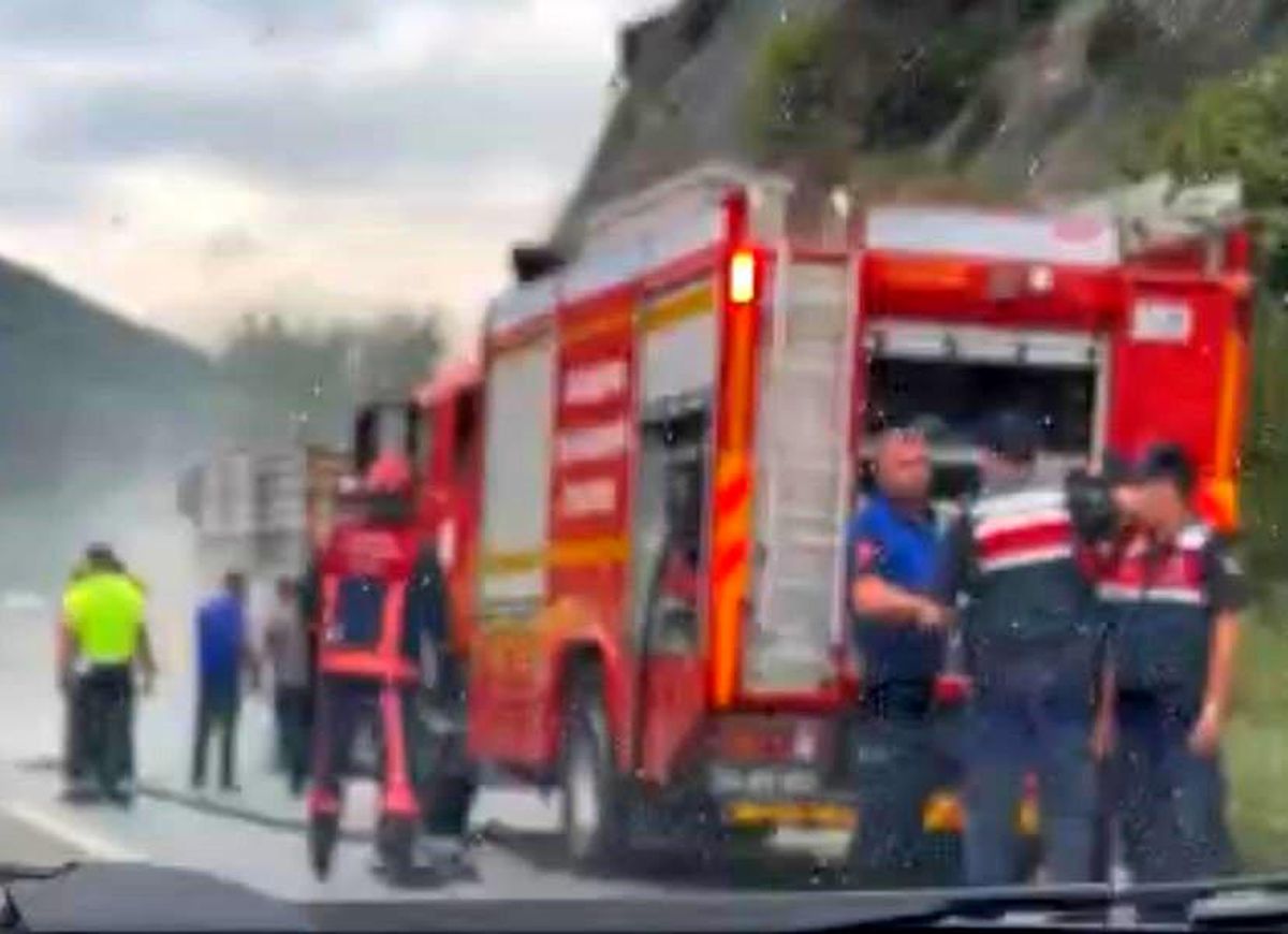 Sakarya'da Tırın Dorsesi Alev Aldı, Uzun Araç Kuyrukları Oluştu