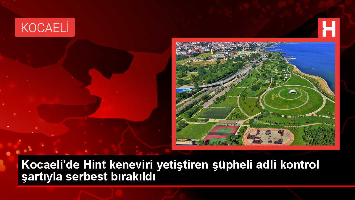 Kocaeli'de Hint keneviri yetiştiricisi gözaltına alındı
