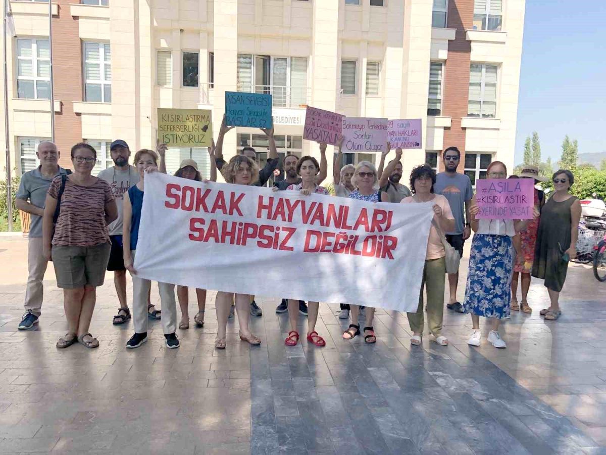 Köyceğiz'de Hayvanseverlerden Çağrı: Sesimize Kulak Verin