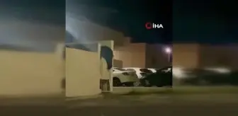 Meksika'da Devasa Ayı Sokaklara İndi