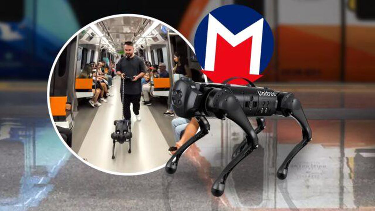 İstanbul Metrosunda Robot Köpek Gösterisi
