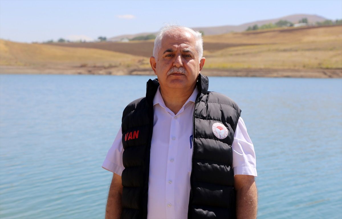 Van'daki göletlere 900 bin sazan balığı yavrusu salındı