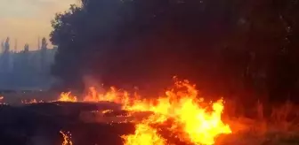 Çorum'un Sungurlu ilçesinde çıkan yangın kontrol altına alındı