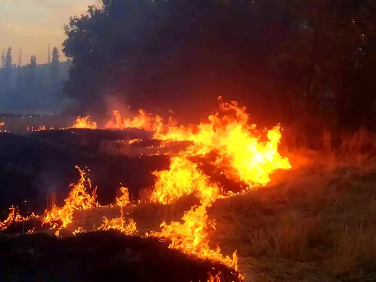 Çorum'un Sungurlu ilçesinde çıkan yangın kontrol altına alındı