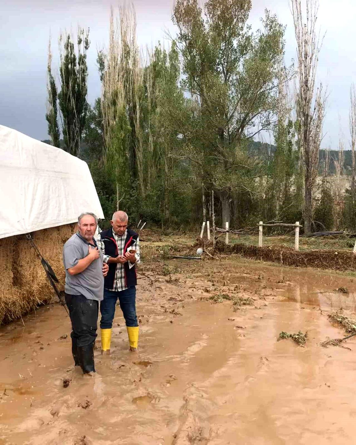 Bolu'nun Göynük ilçesinde aşırı yağışlar tarlalarda ve yollarda hasara neden oldu