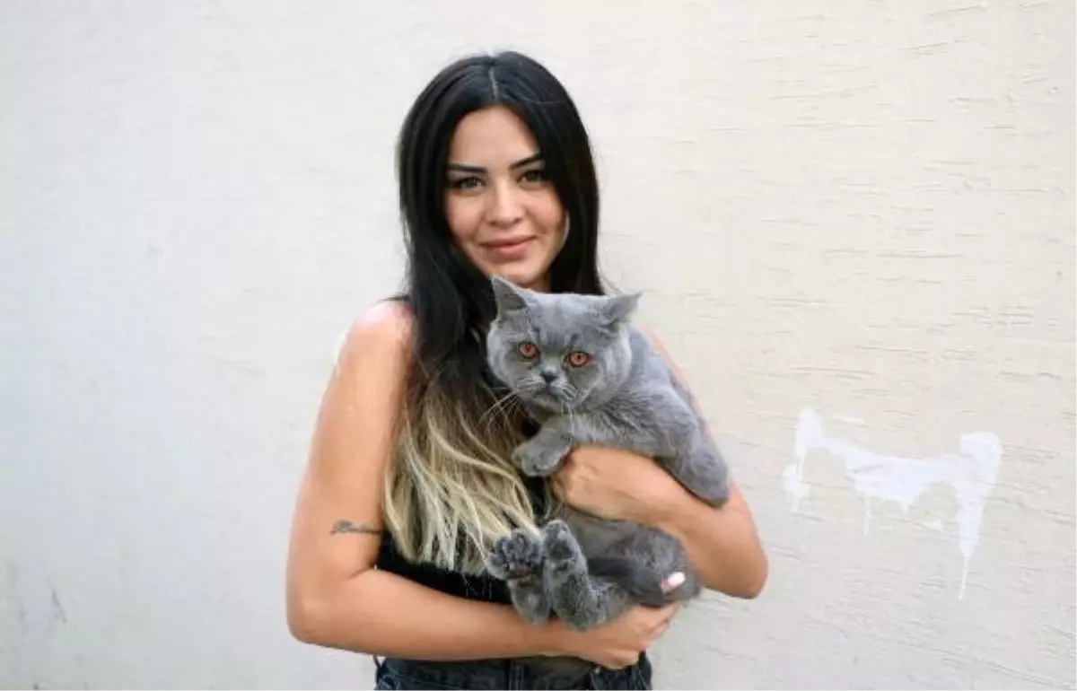 Deprem Stresi, Kedilerde İdrar Yolu Enfeksiyonunu Tetikliyor