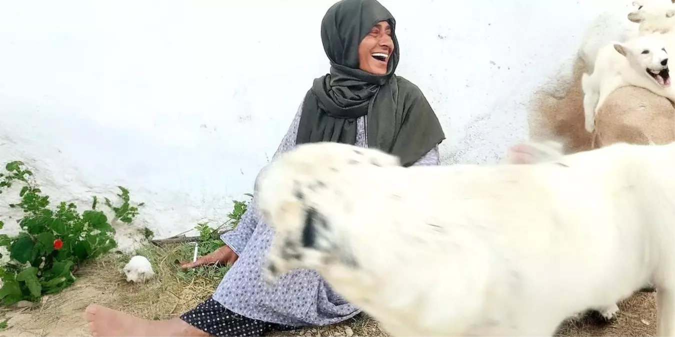Yıldız Tilbe Sokak Hayvanlarıyla Buluştu