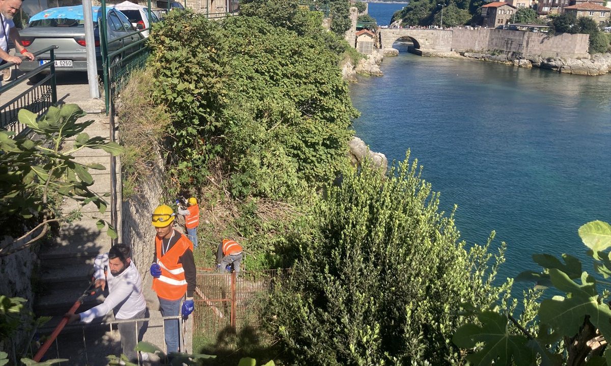 Amasra Kalesi'nde Taşları Düşüren Ağaçların Köklerine Temizlik Çalışması