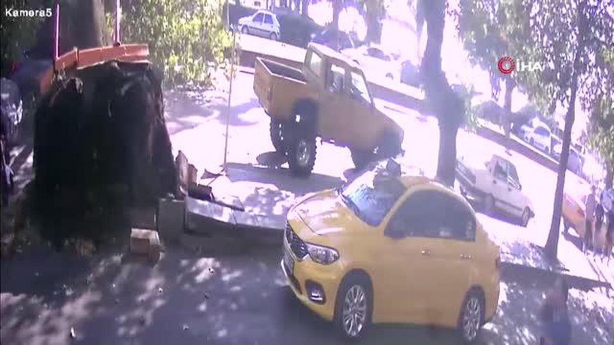 Zonguldak'ta 150 Yıllık Çınar Ağacı Araç Üzerine Devrildi