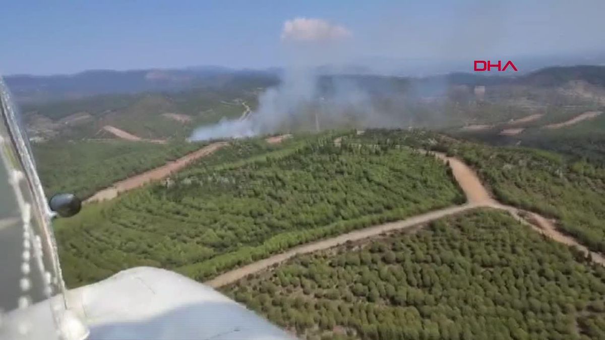 İzmir Torbalı'da Orman Yangını Çıktı