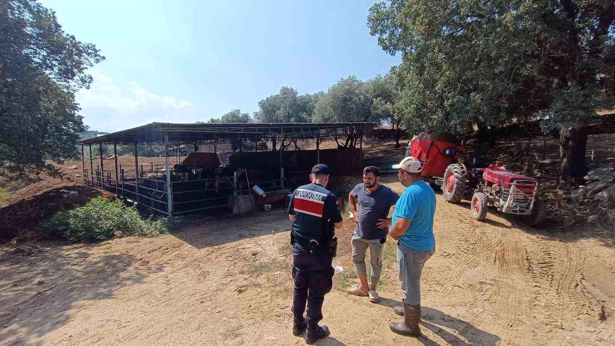 Aydın İl Jandarma Komutanlığı Çiftlik Sahiplerini Uyardı