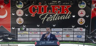 Sakarya'da İlk Çilek Festivali Renkli Görüntülere Sahne Oldu