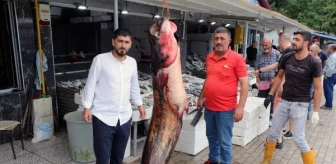Samsun'da 94 kilogramlık yayın balığı satışa çıkarıldı