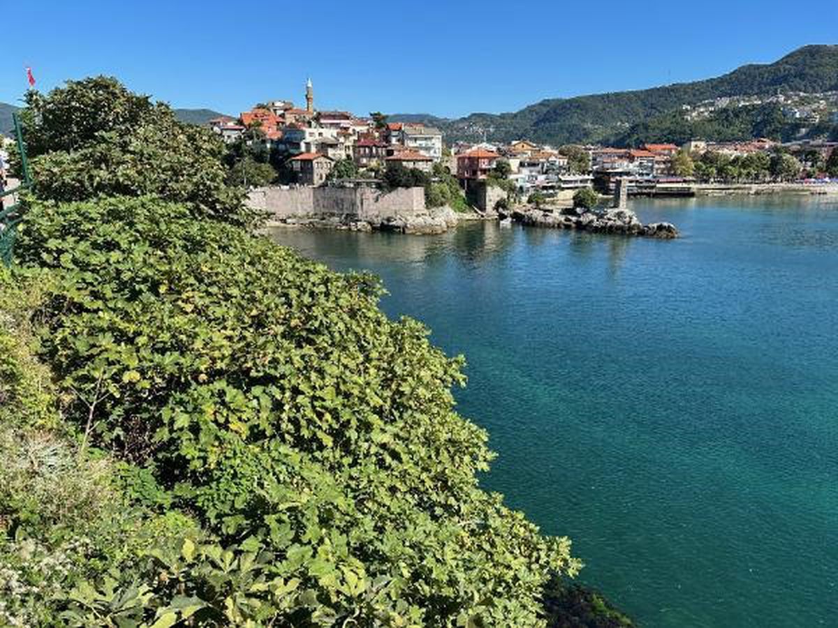 Amasra Kalesi'nde Bitki Temizliği Çalışması Başlatıldı