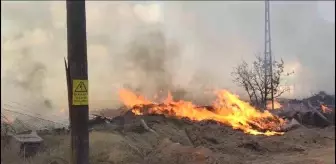 Yalova'da Çınarcık ilçesinde çıkan arazi yangını söndürüldü