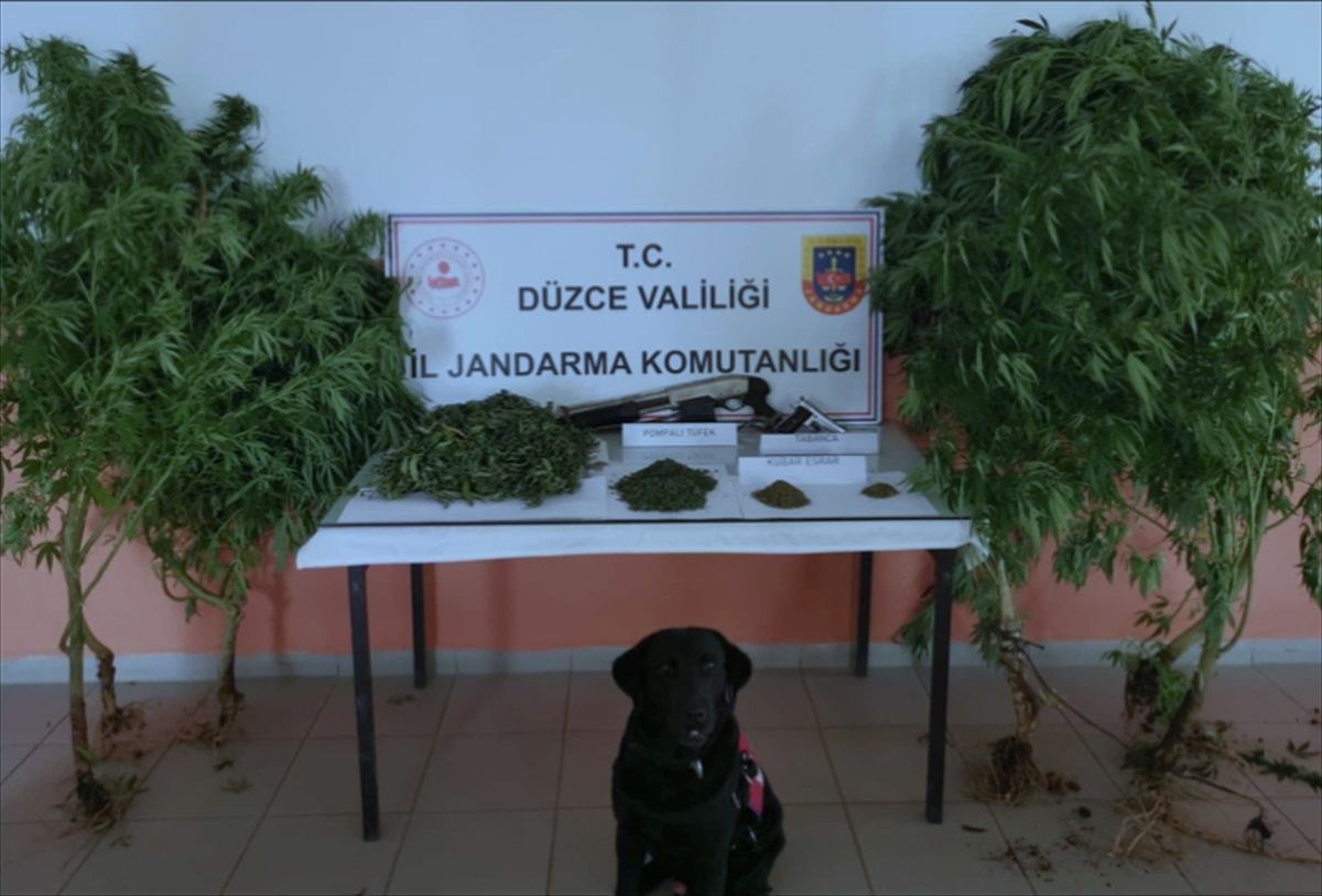 Düzce'de Uyuşturucu Operasyonu: 1 Şüpheli Yakalandı
