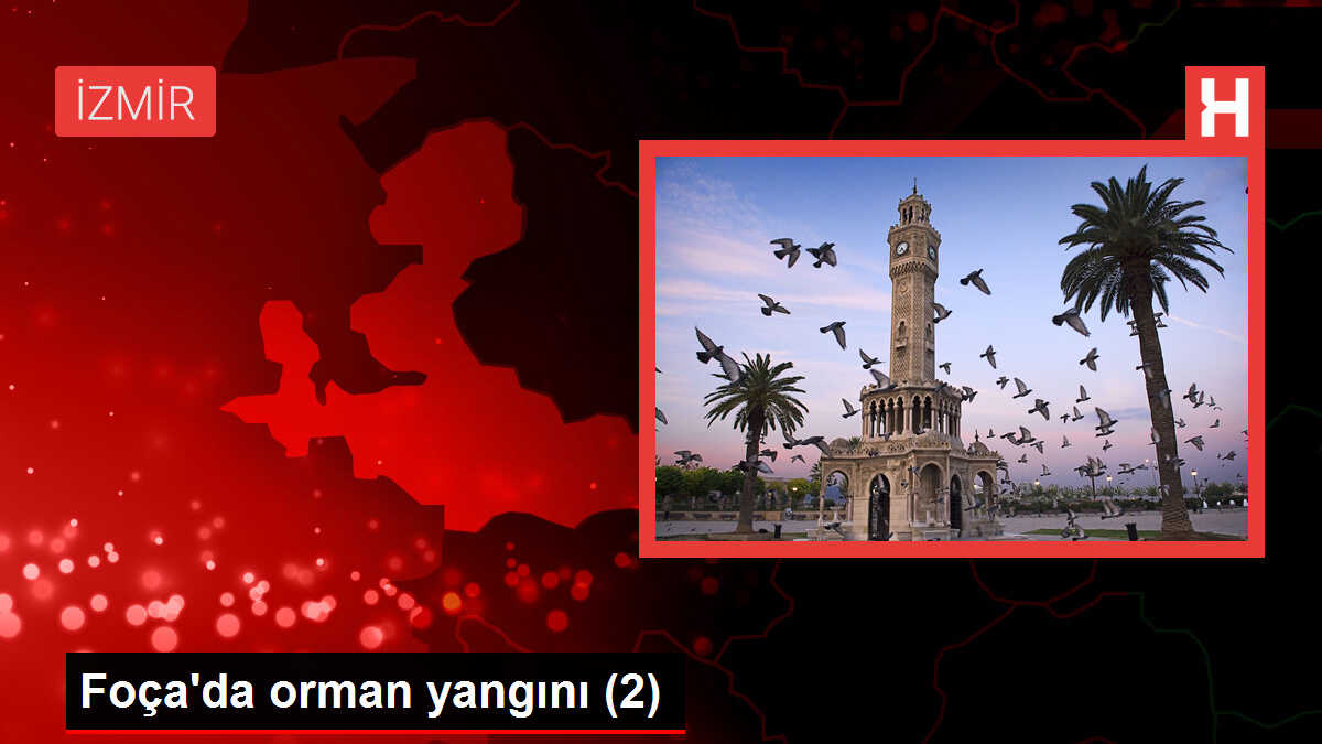 Foça'da orman yangını (2)