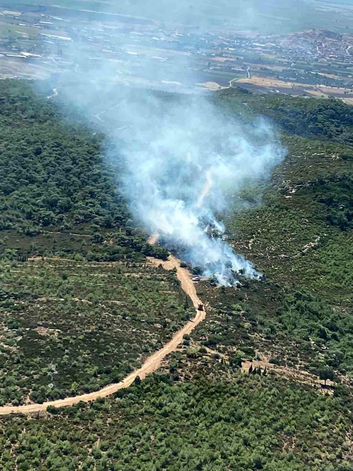 Foça'da çıkan orman yangını kontrol altına alındı