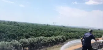 Hatay'da çalılık alanda çıkan yangın söndürüldü