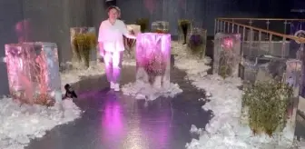 Heykeltıraş Yıldız Özer, iklim krizine dikkat çekmek için buz bloklarında bitki sergisi açtı